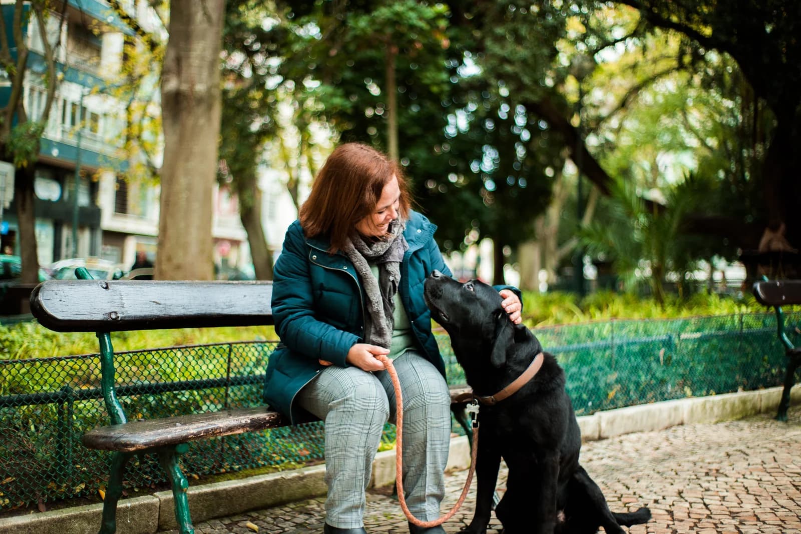 Pets (visits/walks)