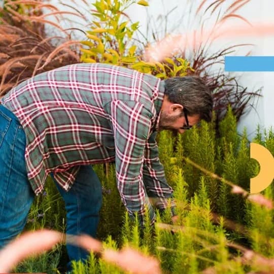 Gardening
